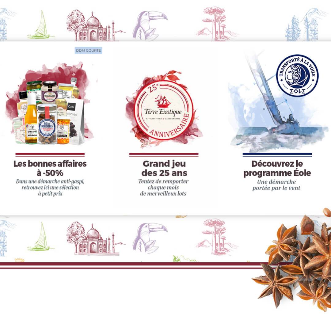 superdev-ecommerce-site-terre-exotique